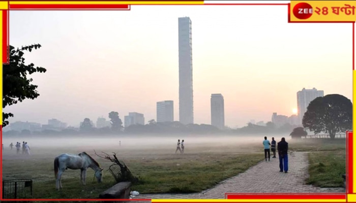 WB Weather Update: বের করে ফেলুন কম্বল! নভেম্বরেই আসছে হাড়কাঁপানো শীত?