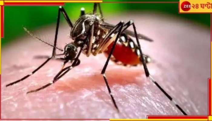 Dengue News: শীতের আগে ফের প্রাণ কাড়ল ডেঙ্গি,বিধাননগরে ডেঙ্গিতে আক্রান্ত মহিলার মৃত্যু...