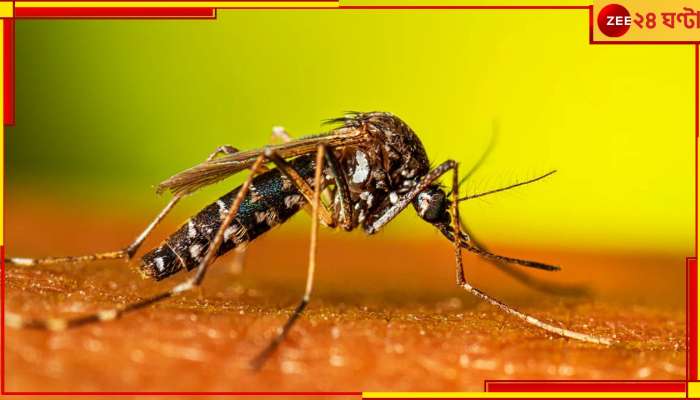 Chikungunya | Malda: ডেঙ্গির মধ্যেই নয়া আতঙ্ক! মালদায় প্রথম থাবা বসাল এই রোগ, আক্রান্ত অনেকে...