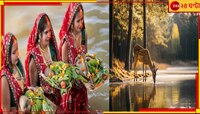 রাতে এই নদীতে জল খেতে আসে বন্যপ্রাণী! তাহলে কী ভাবে হবে ছট পুজো?