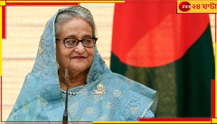 Sheikh Hasina: দিল্লিতে খোশমেজাজে এদিক ওদিক মোবাইলে কথা বলছেন হাসিনা, গোঁসা হচ্ছে ঢাকার...