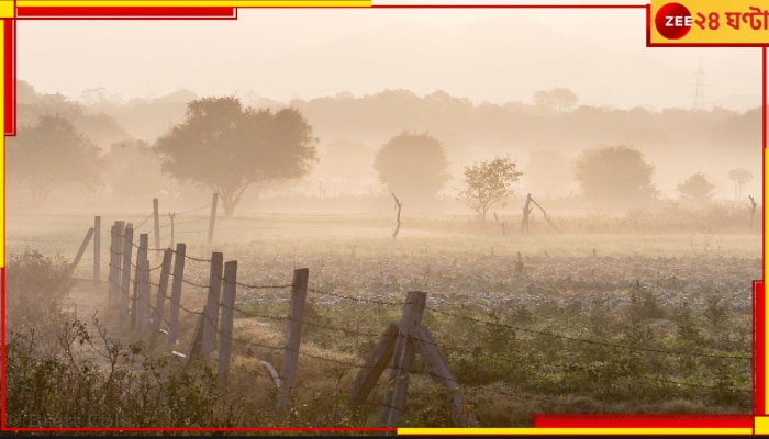 Bengal Weather Update: বাংলায় ভরপুর শীতের আমেজে এখনই ১৬ ডিগ্রি! জাঁকিয়ে শীত কবে থেকে?