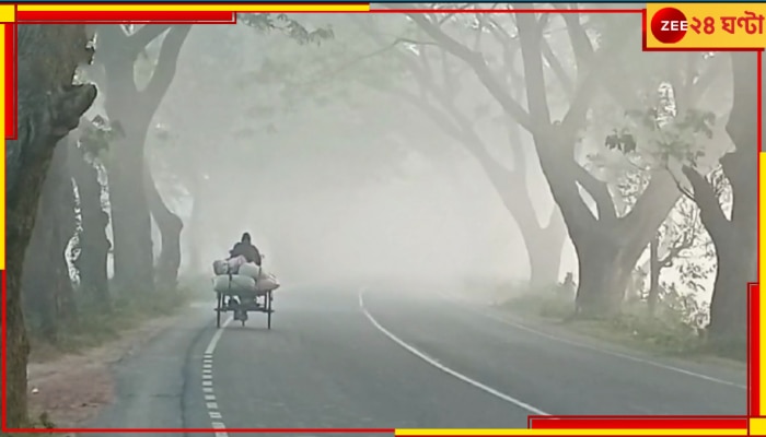 Bengal Weather Update: এবার রাজ্য জুড়েই শীতের আমেজ, দৃশ্যমানতা কমবে হু হু করে! ঠান্ডার প্রথম স্পেল কতদিন স্থায়ী হবে?