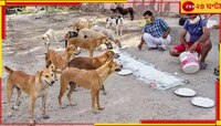 আপনি কি পথ কুকুরদের খাওয়ান? রাজ্যের নয়া গাইডলাইন দেখে নিন...