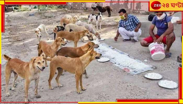 Stray dog: আপনি কি পথ কুকুরদের খাওয়ান? রাজ্যের নয়া গাইডলাইন দেখে নিন...