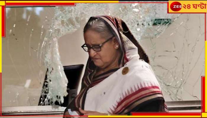 Sheikh Hasina: &#039;শেখ হাসিনা ভারতে বসে বাংলাদেশকে নষ্ট করতে ষড়যন্ত্র করছেন&#039;