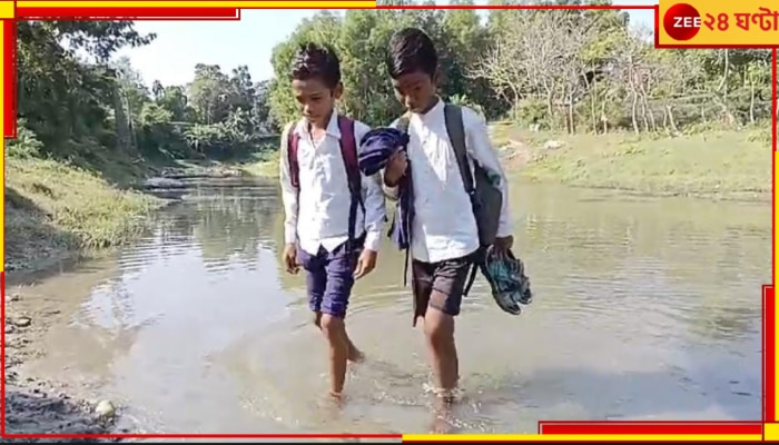 Jalpaiguri: সাঁকো ভাঙা! সাইকেল ঘাড়ে ঝুঁকি নিয়ে নদী পেরিয়ে স্কুলে যায় পড়ুয়ারা...