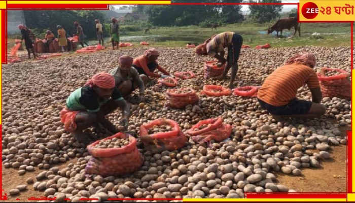 Potato Supply: রাজ্য সরকারের চাপে উঠে গেল আলু ধর্মঘট! হিমঘর থেকে আলু বেরোবে এবং তা আসবেও বাজারে...