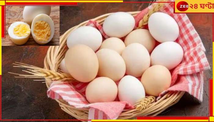 Price of Egg: আলু, পেঁয়াজ, রসুনের পর ফের মধ্যবিত্তের পকেটে টান! হু হু করে বাড়ল ডিমের দাম...   