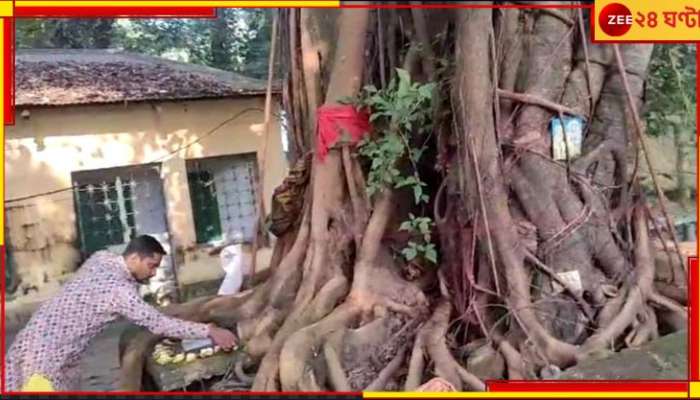 Jalpaiguri: গাছেদের বিয়ে! গায়ে হলুদ-কন্যাদান, এ এক আশ্চর্য বিবাহ অভিযান...