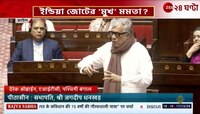 Mamata Banerjee | সংসদে দাঁড়িয়ে লালু, অভিষেকের পর ডেরেকের মমতা-সওয়াল | Zee 24 Ghanta 