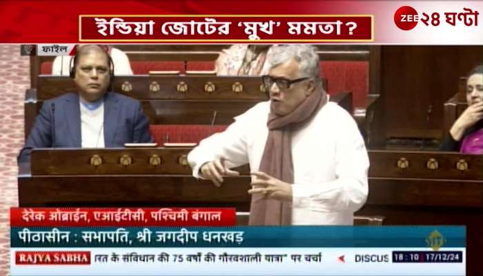 Standing in Parliament Lalu After Abhishek Dereks Mamata question 