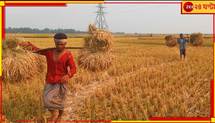 Hooghly: ধানজমিতে নামার সময়ে উল্টে গেল ট্রাক্টর! চাপা পড়ে মৃত্যু তিন যুবকের...