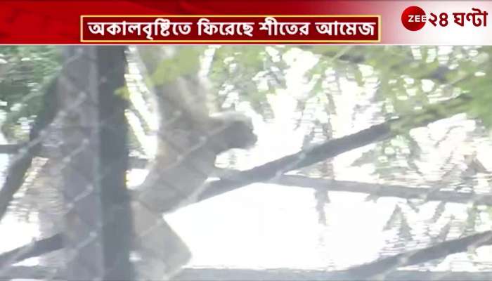 Alipore Zoo | রবিবার ছুটির দিনে চিড়িয়াখানায় উপচে পড়া ভিড় | Zee 24 Ghanta