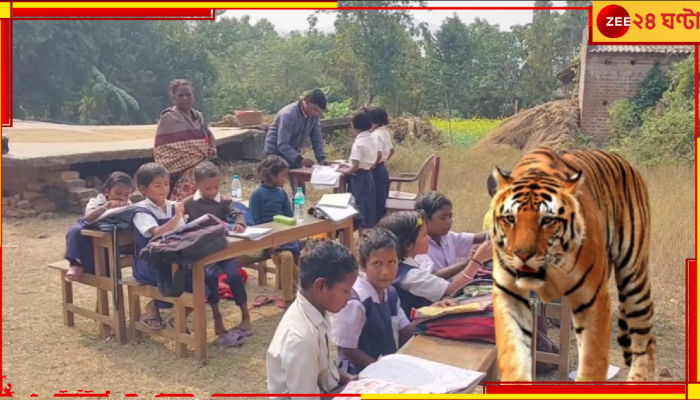 Tiger in Purulia: উলটপুরাণ! বাঘের আতঙ্কে সবাই যখন ঘরে, তখন খোলা আকাশের নীচে স্কুল করছে কচিকাঁচারা...