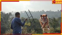 বাগে আসছে না বাঘ! বাঘ-যুদ্ধে বন দফতরের নয়া অস্ত্র এবার 'হাই ফ্রিকোয়েন্সি অ্যান