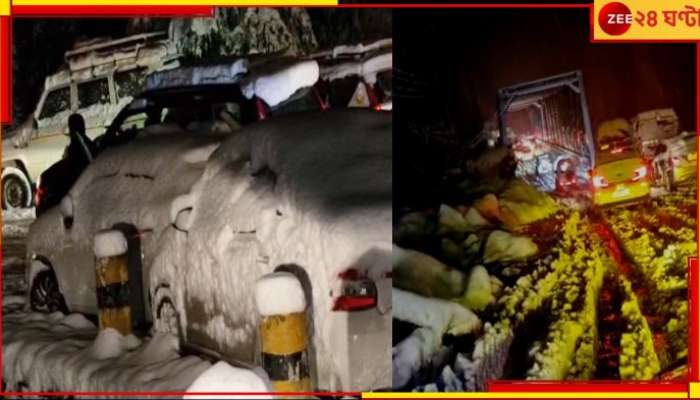 Manali: ভয়ংকর তুষারপাত! বরফে ঢাকা গাড়ি, প্রায় ১১ ঘণ্টা আটকে পর্যটকরা অবশেষে...