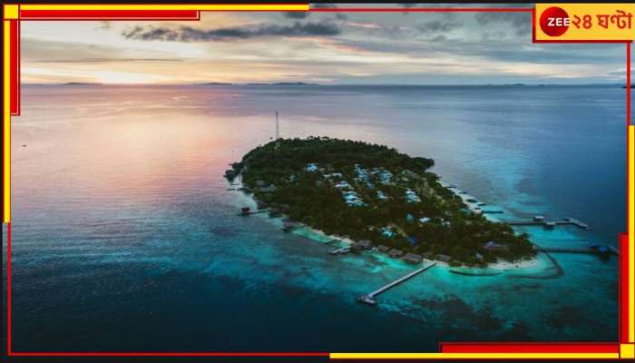 Luxurious Private Islands: ছুটি কাটানোর জন্য এঁদের আছে নিজেদের আস্ত দ্বীপ! শাকিরা-ডিক্য়াপ্রিয়োর সঙ্গেই আছেন শাহরুখ...