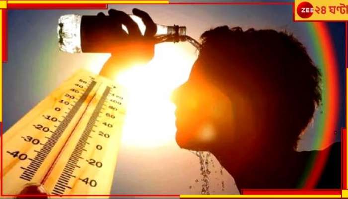 2025 Warmest Year: ফের মৃত্যুমিছিল দেশে? সব রেকর্ড ভাঙবে ২০২৫-এর ভয়ংকর হিটওয়েভ...