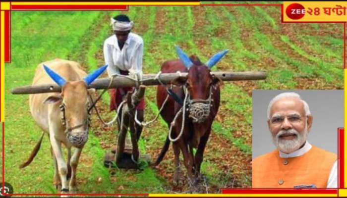 Farmers Insurance: নতুন বছরে নজরে কৃষি, প্রধানমন্ত্রী ফসল বিমা নিয়ে বড় ঘোষণা কেন্দ্রের!