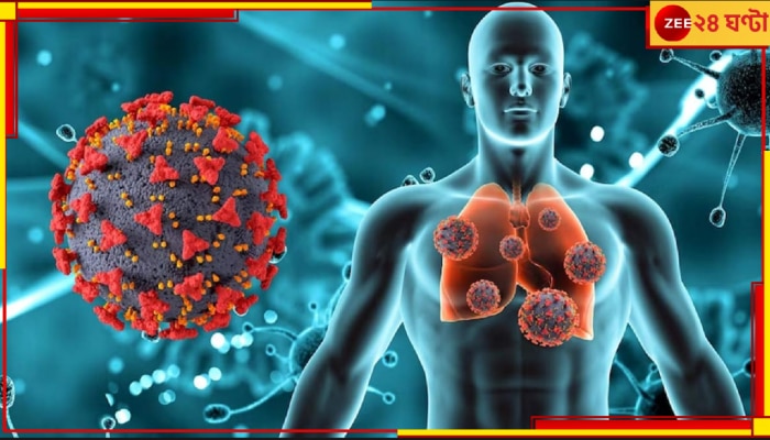 Human Metapneumovirus | HMPV: করোনার ৫ বছর পরে ফের এক ভয়ংকর ভাইরাসের ভীতিতে কাঁপছে বিশ্ব...