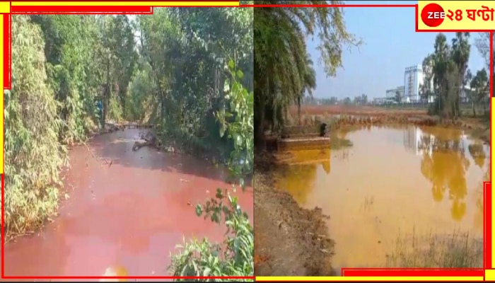 Chemical Wastes: বিষাক্ত রাসায়নিকের স্রোতে ডুবছে গোটা গ্রাম! জমি নষ্ট, পানীয়জল দূষিত, ছড়াচ্ছে চর্মরোগ‌ও! প্রতিকার নেই?