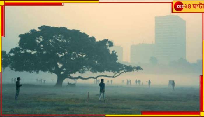 WB Weather Update: পশ্চিমী ঝঞ্ঝাকে তোয়াক্কা না করে কামব্যাক শীতের! বৃষ্টির চোখরাঙানি জেলায়-জেলায়...