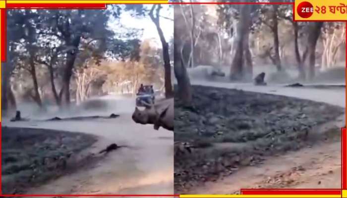 Kaziranga National Park: সাফারিতে বুনো গণ্ডারের সামনে ছিটকে পড়ল মা-মেয়ে! হাড়হিম কাণ্ড কাজিরাঙায়...