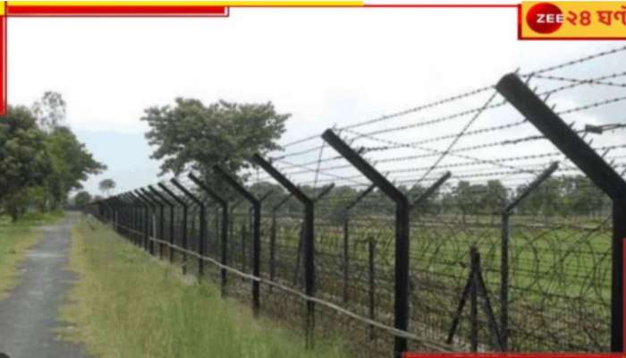 India Bangladesh Border: সীমান্তে বড়বড় অনুপ্রবেশের চেষ্টা বানচাল BSF-র! ২৪ জন বাংলাদেশিকে...