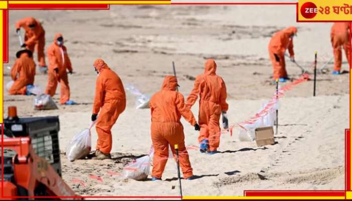 Beaches Closed: সমুদ্রে ভেসে এল রহস্যময় বল! বন্ধ ৯ সৈকত, আতঙ্কে...