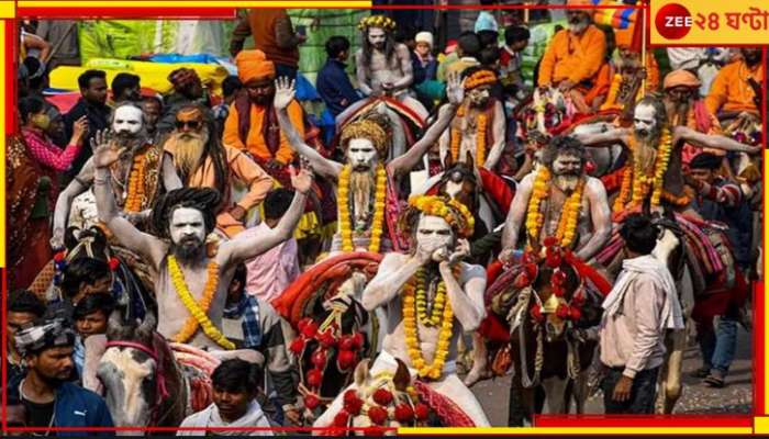 Maha Kumbh 2025: গুগলে লিখুন ‘মহাকুম্ভ’, তারপরই ‘ম্যাজিক’ দেখুন... 