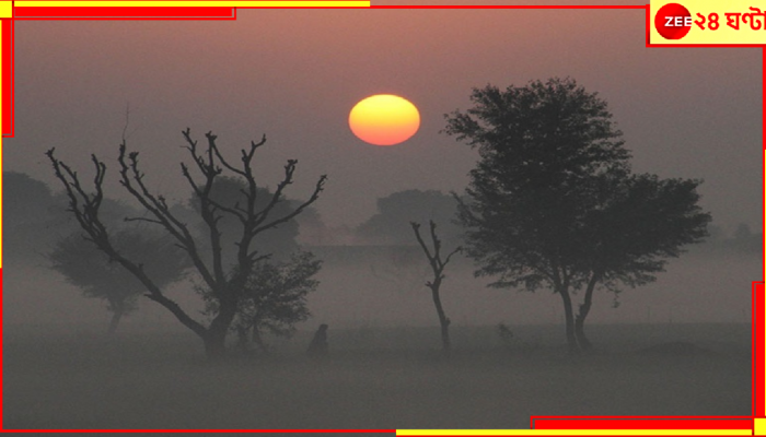 Bengal Weather Update: শীতের দ্বিতীয় স্পেলের প্রথমদিনের ভোরেই সারা বাংলা ডুবল ঘন গাঢ় কুয়াশার গভীরে...