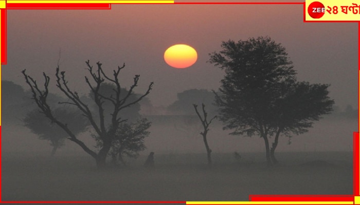 Bengal Weather Update: শীতের দ্বিতীয় স্পেলের প্রথমদিনের ভোরেই সারা বাংলা ডুবল ঘন গাঢ় কুয়াশার গভীরে...