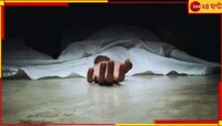 মর্মান্তিক দুর্ঘটনা! বেপরোয়া গাড়ি, বেঘোরে প্রাণ গেল তরুণীর...