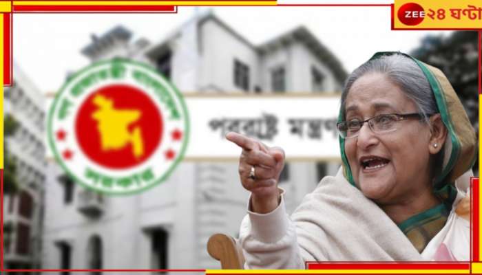 Sheikh Hasina: শেখ হাসিনার বিরুদ্ধে ইন্টারপোলের রেড নোটিস! এবার বাংলাদেশ জানাল...