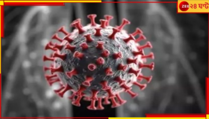 Mystery Virus: সংক্রমণ ছড়াচ্ছে 'রহস্য ভাইরাস'! গিয়ান বারের আতঙ্কের মধ্যেই কি ভারতের জন্য নয়া উদ্বেগ? Mystery Virus: সংক্রমণ ছড়াচ্ছে 'রহস্য ভাইরাস'! গিয়ান বারের আতঙ্কের মধ্যেই কি ভারতের জন্য নয়া উদ্বেগ?