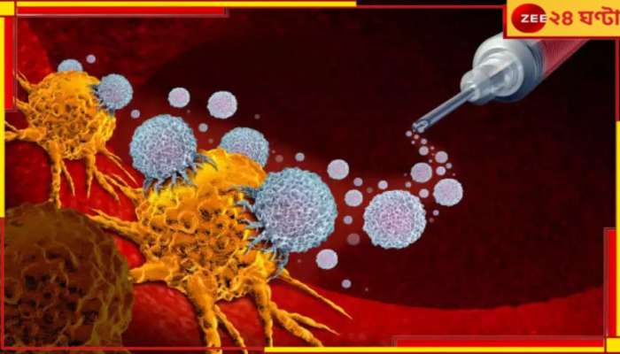 Cancer New Vaccine: অক্সফোর্ডের রিসার্চে সারবে ক্যানসার! ভ্যাকসিন-গুণে শুরুর আগেই মরবে দোষ... Cancer New Vaccine: অক্সফোর্ডের রিসার্চে সারবে ক্যানসার! ভ্যাকসিন-গুণে শুরুর আগেই মরবে দোষ...