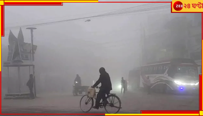 WB Weather Update: আপাতত চলবে পারদের ওঠানামা, শীতের বিদায় কবে জানিয়ে দিল আবহাওয়া দফতর