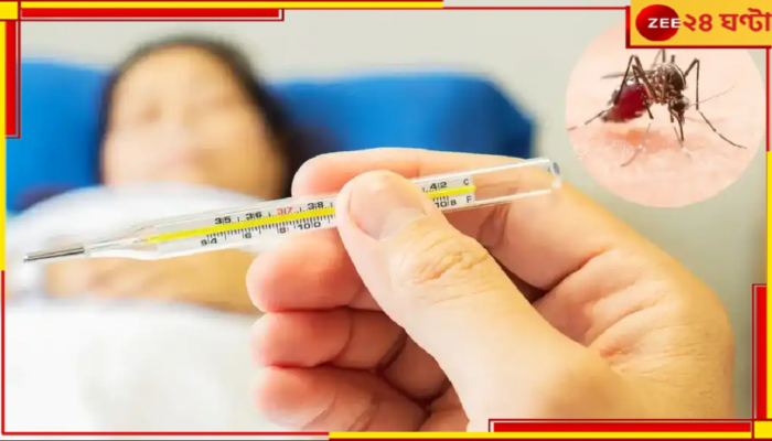 Dengue: শীতেও ডেঙ্গির চোখরাঙানি! কলকাতা থেকে জেলায় লাফিয়ে বাড়ছে আক্রান্তের সংখ্যা...