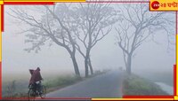 জেলায় জেলায় বইছে শৈত্য প্রবাহ! শেষরাত থেকে ভোর পর্যন্ত দেশ জুড়ে কুয়াশার পরত...