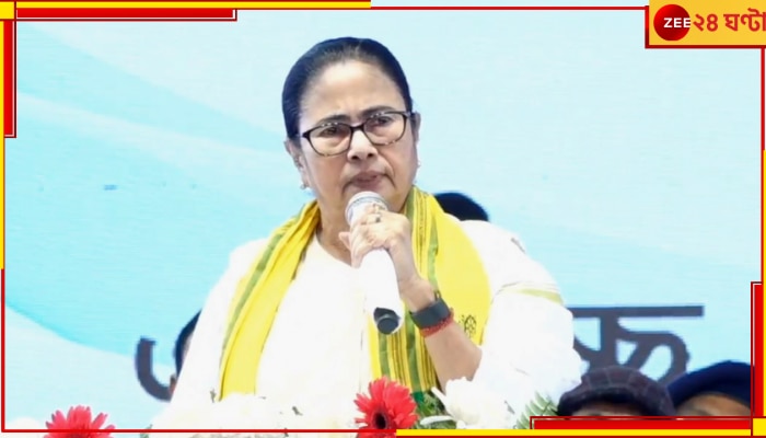 Mamata Banerjee: &#039;বারবার ভুল করলে....&#039;, দলের কাদের হুঁশিয়ারি দিলেন মমতা!