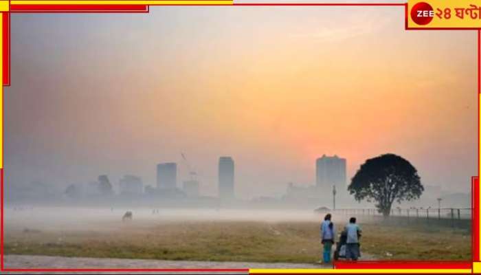 WB Weather Update: হচ্ছেটা কী! একরাতে হু হু করে নামল পারদ, ভ্যালেন্টাইনস ডে-তে শীতের আমেজ...