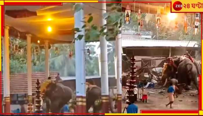 Elephant Incident: উত্‍সবে শোকের ছায়া! শোভাযাত্রার হাতির তাণ্ডবে মন্দিরেই মৃত ৩, আহত প্রায় ৩০...