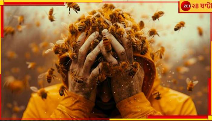 Bees Attack: মরণ কামড়! ট্রেকিং করতে গিয়ে মৌমাছির আক্রমণে মৃত ১, গুরুতর আহত ৭...