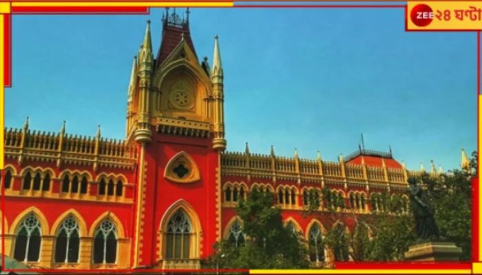 Calcutta High Court: &#039;মানুষ মরছে, মরতে দাও! তাতে আপনাদের কি?&#039; রাজ্যকে কড়া ধমক হাইকোর্টের!