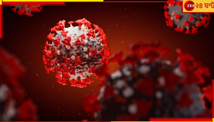 Another Pandemic Coming?: ফের করোনা? বাদুড় থেকে মানুষে সংক্রমিত এই নতুন রোগ কি ডেকে আনছে বড় ধরনের বিপদ? ভারতে... Another Pandemic Coming?: ফের করোনা? বাদুড় থেকে মানুষে সংক্রমিত এই নতুন রোগ কি ডেকে আনছে বড় ধরনের বিপদ? ভারতে...