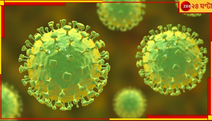 Bat Coronavirus HKU5-CoV-2: জ্বর? গলা জ্বালা? সারা শরীরে ব্যথা? সাবধান! ব্যাট করোনাভাইরাসের কবলে পড়েননি তো? Bat Coronavirus HKU5-CoV-2: জ্বর? গলা জ্বালা? সারা শরীরে ব্যথা? সাবধান! ব্যাট করোনাভাইরাসের কবলে পড়েননি তো?