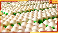 অবিশ্বাস্য! একটা ডিমের দাম ৩৬ টাকা, মাথায় হাত আমজনতার
