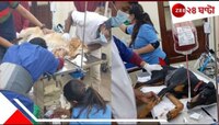 ডোবারম্যানকে ব্লাড দিল গোল্ডেন রিট্রিভার! কলকাতা সাক্ষী থাকল বিরল 'রক্তদানে'র... 