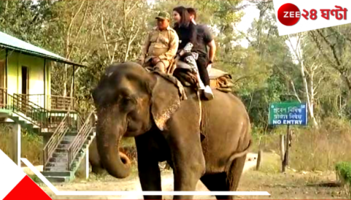 Elephant Safari in Garumara: কম খরচে হাতি সাফারি! গরুমারার অত্যাধুনিক ব্যবস্থায় খুশি পর্যটকরা...